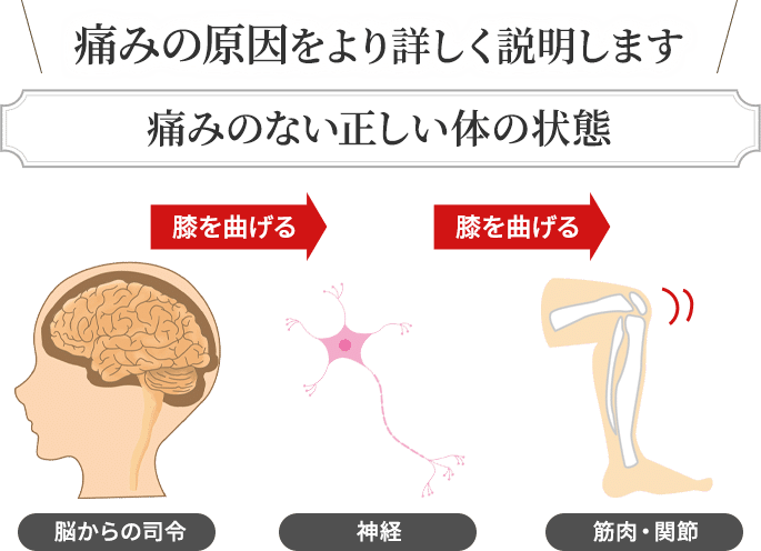 痛みの原因をより詳しく説明します